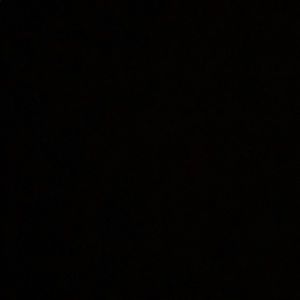 Meet your Posher, Nina